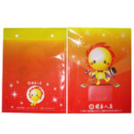 Full Color Plastic Folder with button