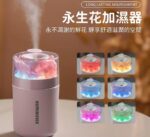 永生花加濕器 粉色底座透明罩 LED 七彩氛圍燈 噴霧效果