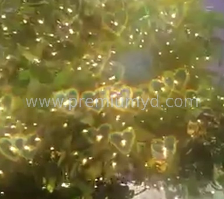 戴上 3D 眼鏡望住 LED 燈飾嘅心心效果