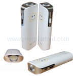 Portable hail charger | Custom Corporate Gift