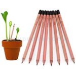 seed pencil | Custom Corporate Gift