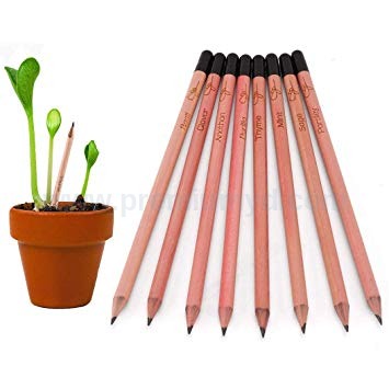種子鉛筆 seed pencil | Custom Corporate Gift - Image 1