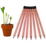 seed pencil | Custom Corporate Gift - Image 2