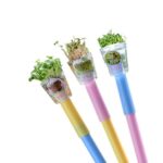 種草筆 三支不同顏色 已發芽小苗