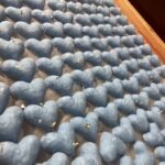 立體愛心種子紙 - Premium YD 企業禮品訂製