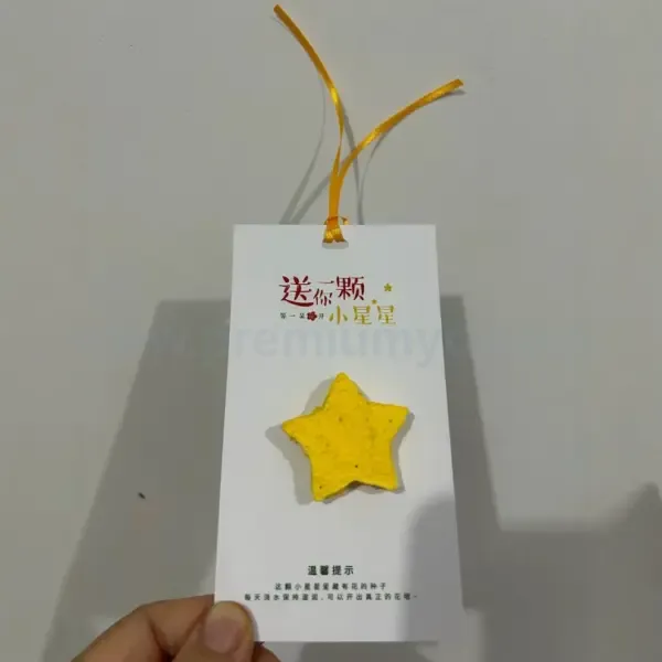 立體星星紙手工創意種植套裝