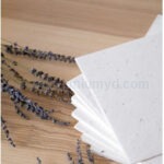 環保手工植物種子紙 - Premium YD 企業禮品訂製
