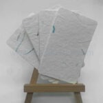 種子紙卡片 - Premium YD 企業禮品訂製