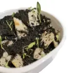 可發芽種子紙創意書籤訂製 - Premium YD 企業禮品訂製