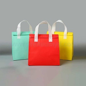 不織布保溫袋 - 企業禮品訂製